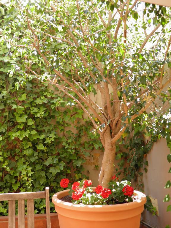 Suitur Courtyard Apartment Barcelona Luaran gambar